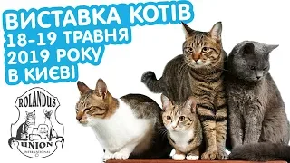 Виставка котів 18-19 травня 2019 року в Києві / Роландус