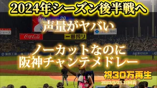 【阪神】ビジターなのにエグすぎる阪神ファンの声量！チャンテメドレー六甲おろしを添えて【Vやねん】