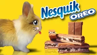 Rabbit BUFFY and OREO NESQUIK ! A Lot of Candy for Buffy ! Way Too Much Sugar !