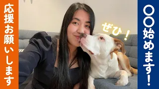 290円のメンバーシップ始めます！豪華な特典も🐶