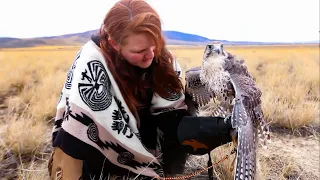 Falconry: Hunting falcons off the fist            #falconry