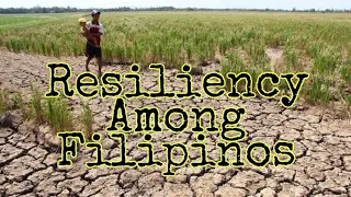 Resiliency Among Filipinos #Proudpinoy