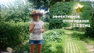 СПОСОБ ОТПУГИВАНИЯ ПТИЦ С УЧАСТКА