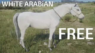 Red Dead Redemption 2 How To Find & Catch White Arabian Horse Walkthrough Guide Lake Isabella