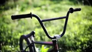 Flybikes - Stefan Lantschner 2015 Video Bike Check - BMX