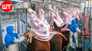 Modern Meat Processing Factory | Million Dollar Cow Processing Technology & Cutting Line