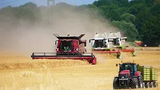 Gerste dreschen | CLAAS | CASE | FENDT  ▶ Agriculture Germanyy