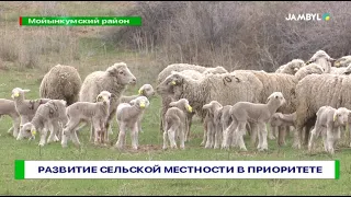 Развитие сельской местности в приоритете