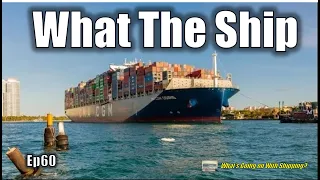 What The Ship (Ep60) | Supplychain  | Maersk vs FMC | Russia Price Cap | Insurance | Port of Miami