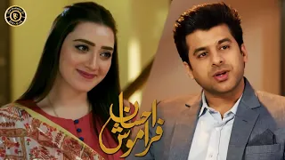 Ehsaan Faramosh | Episode 17 | Best Moment | Momina Iqbal & Humayun Ashraf | Latest Pakistani Drama