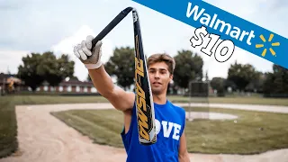 I Bought the CHEAPEST Baseball Bat at WALMART ($10)