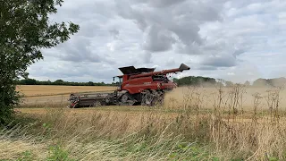 Harvesting Wheat with a Case Axial Flow 9250