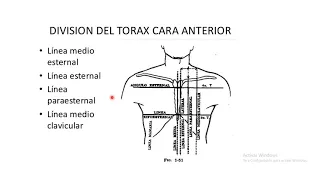 Anatomia de la caja toracica  y sus partes