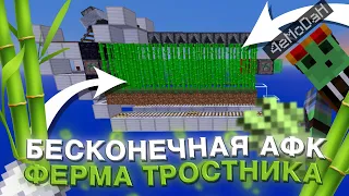 БЕСКОНЕЧНАЯ АФК ФЕРМА ТРОСТНИКА | SunRise