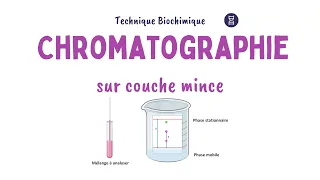 Principe de la Chromatographie sur couche mince (CCM) | Biochimie Facile