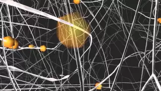 How do neurons connect to each others? Blue Brain Project opens new insights.