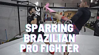 Sparring Brazilian Pro Fighter (Breakdown)