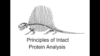 5 Principles of Intact Mass Analysis