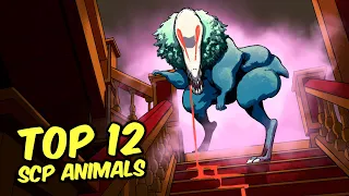 SCP-1550 Dr. Wondertainment's Custom Pets  - Top 12 SCP Animals (Compilation)