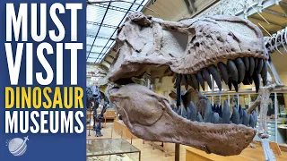 Top 10 Best Dinosaur Museums in the World 2024