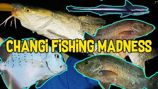 CHANGI FISHING MADNESS | SINGAPORE FISHING