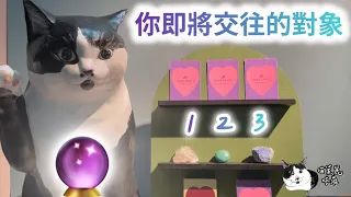 【字幕】( ᐙ )/  📣你即將交往的對象😻  #喵黛麗塔羅