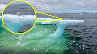Рыбаки думали, что они нашли тюленя на плавучем Айсберге, пока не приблизились и не поняли кто это!