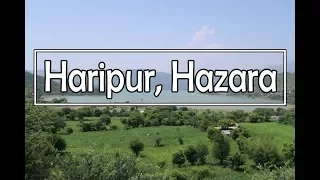 Haripur Hazar Pakistan | Traveling to Haripur in Pakistan