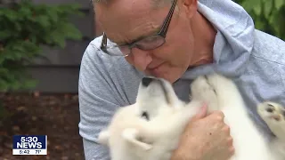 Meteorologist Ian Leonard's new puppy: Meet Baxter | FOX 9 KMSP