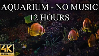 AQUARIUM 4K Coral Reef 4K Aquarium NO MUSIC and NO ADS - 12 Hours | Aquarium Sounds For Sleeping