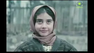 The Frozen Rose (Short Film by Majid Majidi)