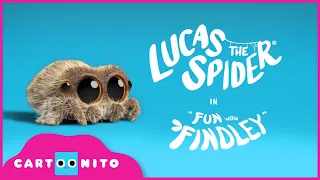 First Look | Fun With Findley | Lucas The Spider