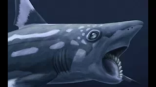 Paleo Profile - Bunch of Prehistoric Fish