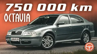 Ako jazdí Škoda Octavia so 750 000 km? - volant.tv