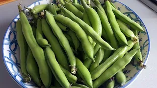 Recipe for fresh beans. Have you ever eaten such a dish? My neighbor taught me how to cook.