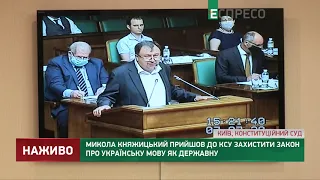 Оскарження закону про українську мову базується на вигадках, - Княжицький