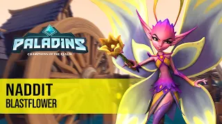 Naddit WILLO PALADINS PRO COMPETITIVE GAMEPLAY l BLASTFLOWER