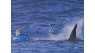 Shark Attack Mick Fanning at J-Bay Open FULL VIDEO (Live HD)