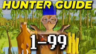 A Complete 1-99 Hunter Guide 2024 [OSRS]