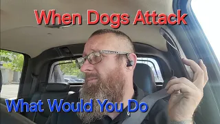 When Dogs Attack