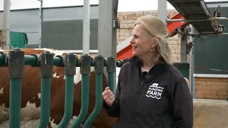Dairy Global visits a unique floating dairy farm in the Netherlands