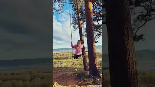 Сидя на красивом холме…🗻🌲🌿🕊