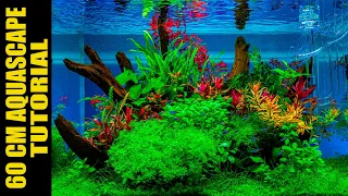 60CM AQUASCAPING AQUARIUM | STEP BY STEP | ENGLISH VERSION | AQUA WAI