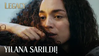 Cansel landed on her feet! | Legacy Episode 679 (MULTI SUB)