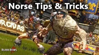 Norse Coaching : Starting Lineup, Tips & Tricks [Blood Bowl 2]