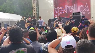 Genitallica - No tengo amigos Pa'l Norte 2018