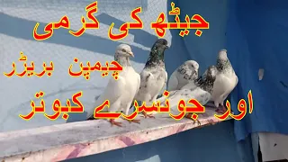 دوستو 52 ٹمپریچر میں جن جونسرو کے بچے شام تک اڑتے ایسے ہوتے آپ اتفاق کرتے