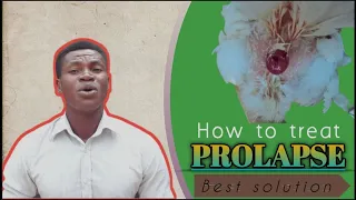 How to prevent prolapse | How to treat prolapse | Causes and signs of prolapse in poultry farming