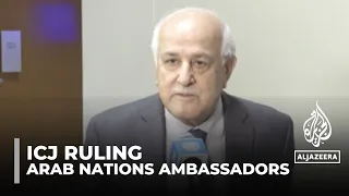 ICJ ruling: Arab ambassadors discuss the verdict