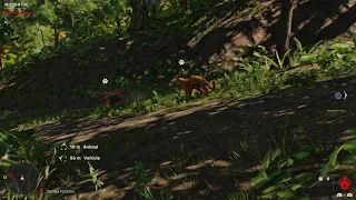 Far Cry 6 Jaguar vs Wild Boar